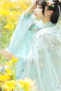 龙婿：隐世惊龙